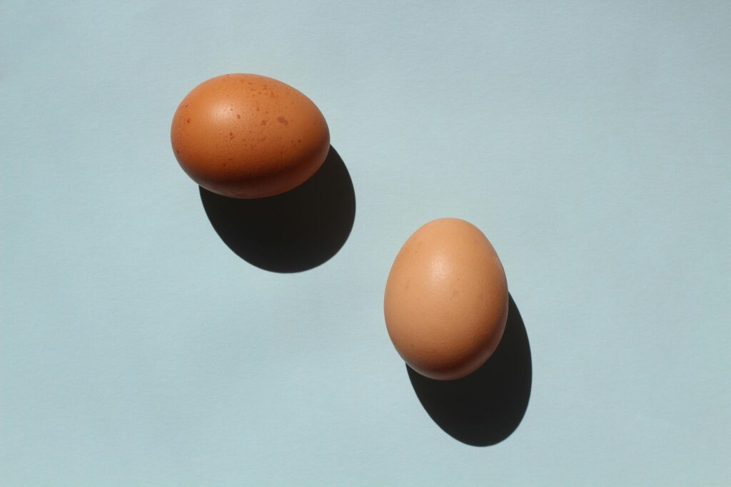 pexels-photo-6576801-6576801 Studio shot of two brown eggs casting shadows on a light blue background.
