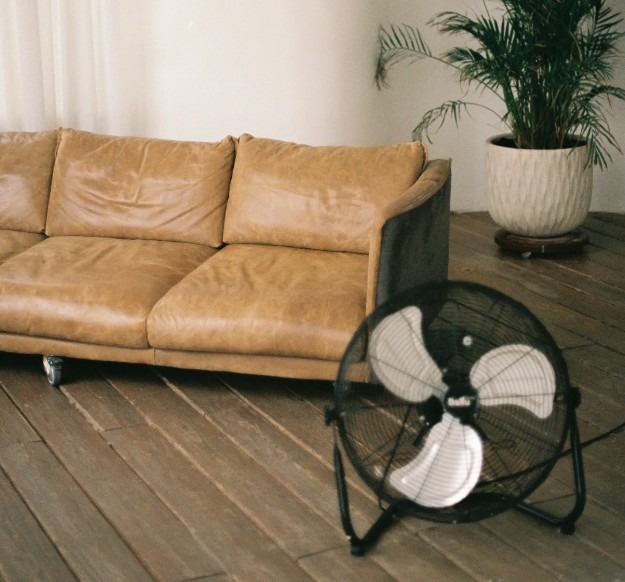 pexels-photo-11046405-11046405 Elegant living room featuring a leather sofa, a potted plant, and a fan for a cozy atmosphere.