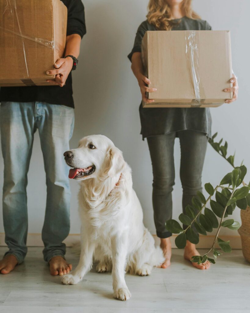 Couple holding boxes with Golden Retriever at home, ready for moving day.
