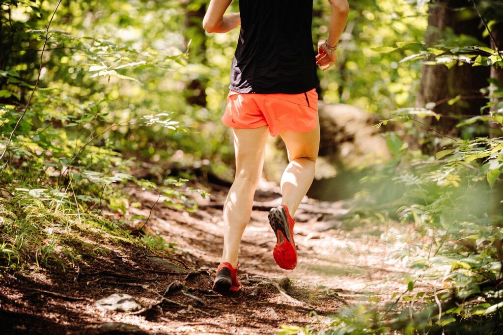 trail, running, forest, woods, exercise, fitness, jogging, nature, park
